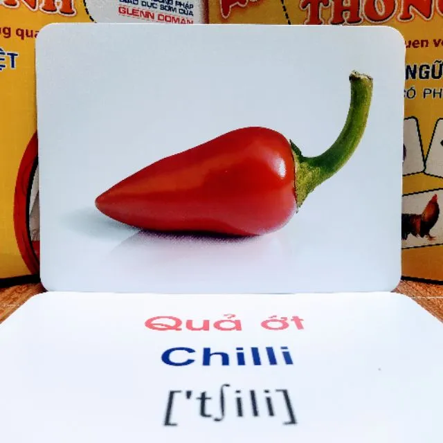 (Siêu sale) Bộ 300 Thẻ Học Thông Minh Khổ Lớn Cho Bé (gồm 20 Chủ Đề) -kt 12x16cm - Dạy Bé học TGXQ qua H.Ảnh Đẹp,Thực Tế