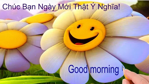 Bắt đầu ngày mới bằng những tiếng cười sảng khoái