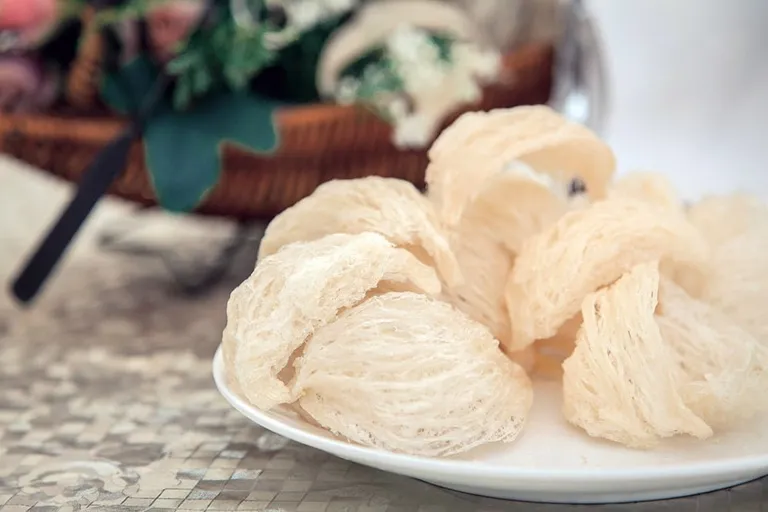 Tác dụng của Yến sào: Loại “Cao lương mỹ vị” tốt cho sức khỏe