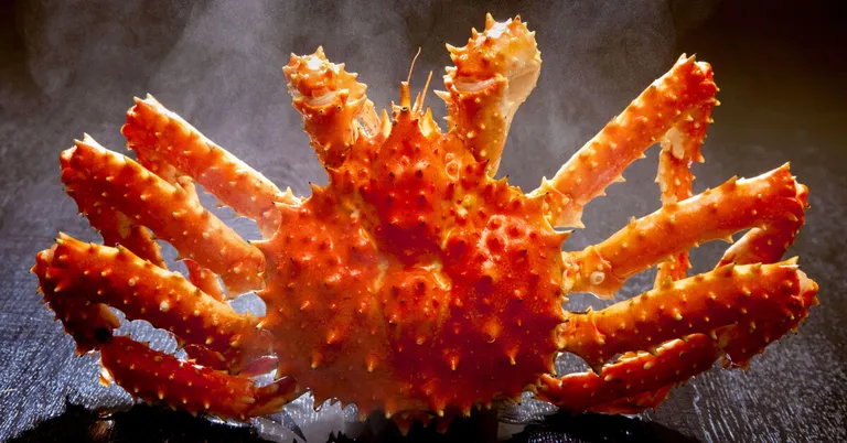 Cua Hoàng đế Alaska bao nhiêu tiền 1 kg?