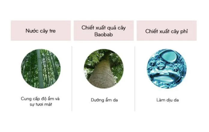 Thành phần tự nhiên lành tính cho da