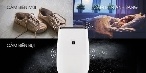 Đánh giá máy lọc không khí Sharp FP-J40E-W: Có đáng tiền cho phòng 30m²?