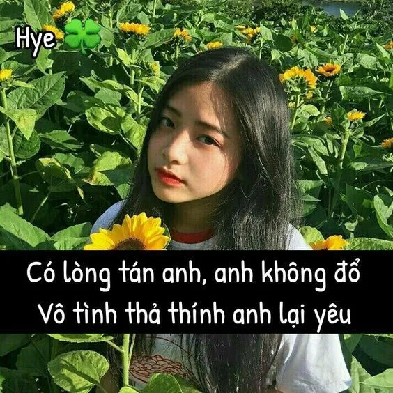 Thơ thả thính troll crush