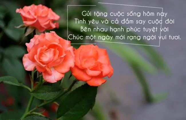 Gửi lời chúc ngọt ngào đến người thương