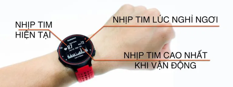 Chỉ số đo nhịp tim bao gồm nhịp tim mục tiêu & nhịp tim nghỉ ngơi.