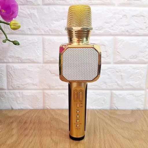 Mic Karaoke Bluetooth SD 10L giá rẻ